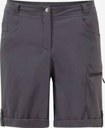 DARE 2B Outdoor Pants 'Melodic II' in Grey: front