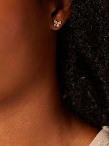 Lucardi Earrings in Gold