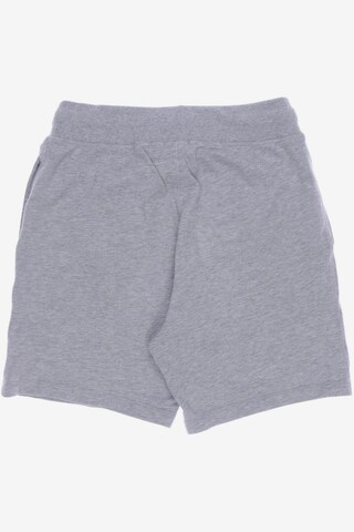 TOMMY HILFIGER Shorts in 33 in Grey