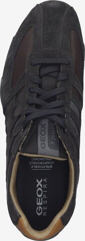 GEOX Sneakers laag in Groen