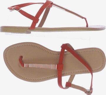 NEW LOOK Sandals & High-Heeled Sandals in 38 in Red: front