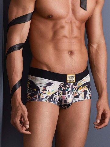 SEOBEAN Boxer shorts 'Tiger' in Grey