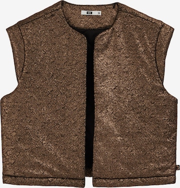 bronzinė WE Fashion Liemenė: priekis