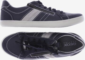 GEOX Sneaker 43 in Blau: predná strana