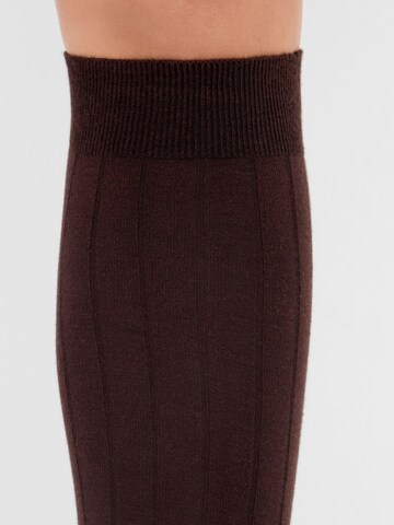 CALZEDONIA Kniestrümpfe in Braun