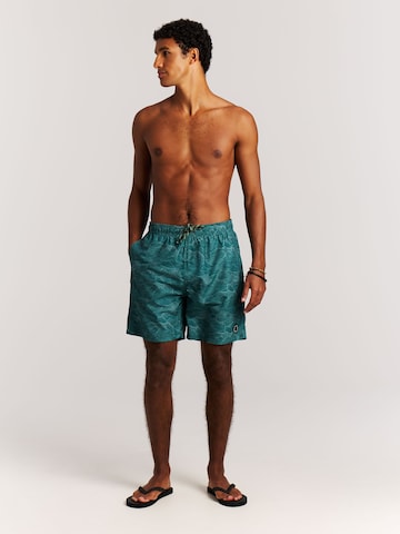PROTEST Swimming shorts 'PRTAcorn' in Green