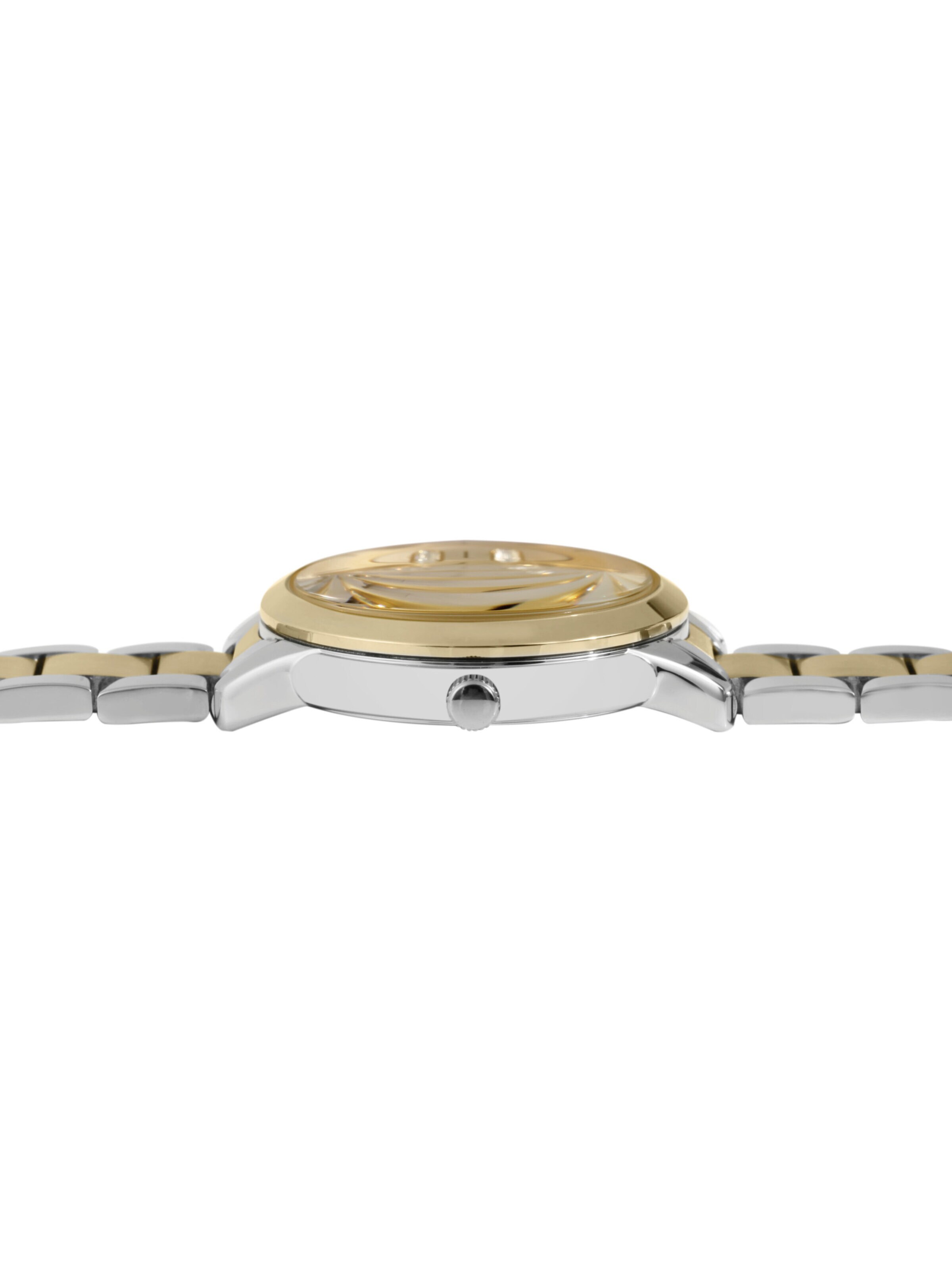 Raptor Analog Watch 'Gloriani, 3 ATM' in Mixed colors