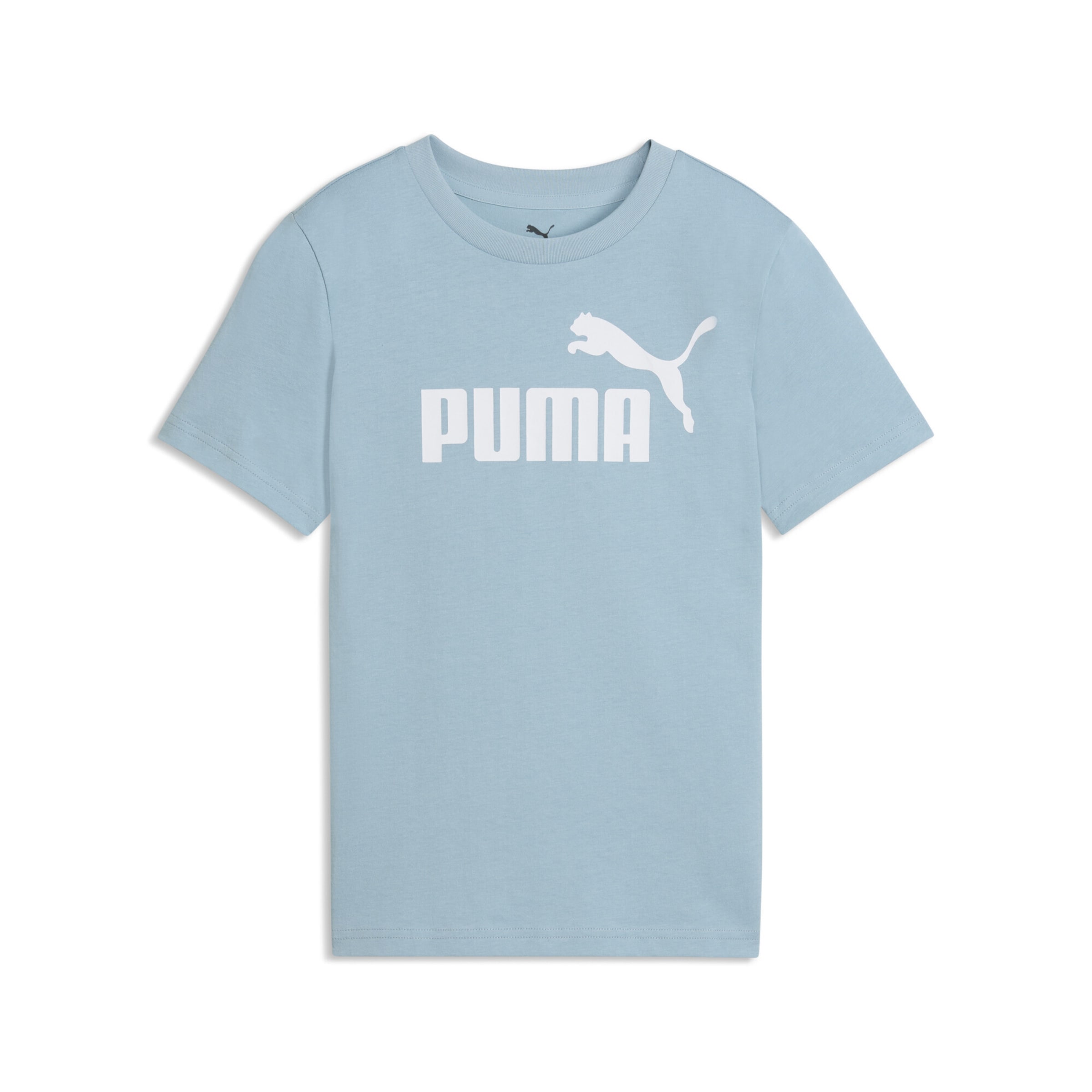 T-Shirt fonctionnel 'ESS No. 1' PUMA en bleu : devant