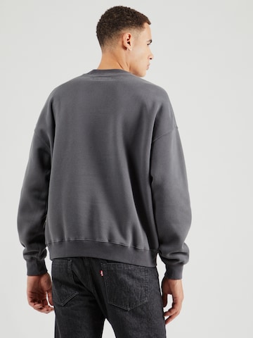 Abercrombie & Fitch Sweatshirt in Grey
