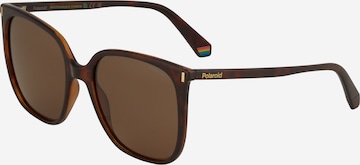 Polaroid Sunglasses in Brown: front