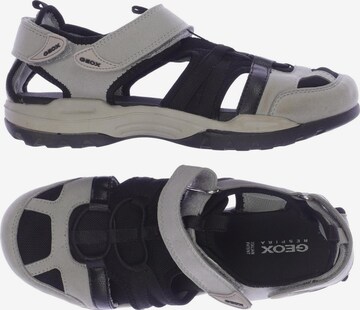 GEOX Sandalen 39 in Grau: predná strana