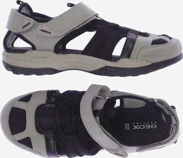 GEOX Sandals & Slippers in 39 in Grey: front
