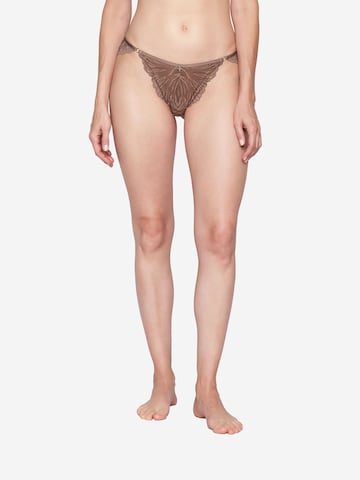 Slip ' Charming ' JOOP! en marron : devant