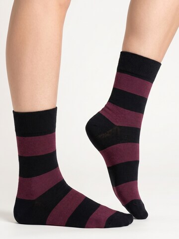 footstar Socks 'Ringel' in Red: front