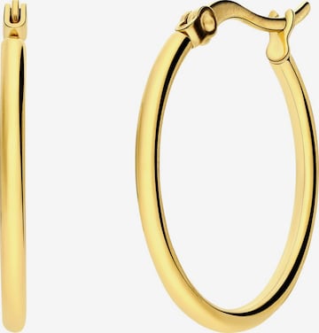 Boucles d'oreilles Lucardi en or : devant