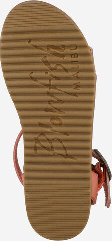 Blowfish Malibu Sandals 'FANDIE' in Orange