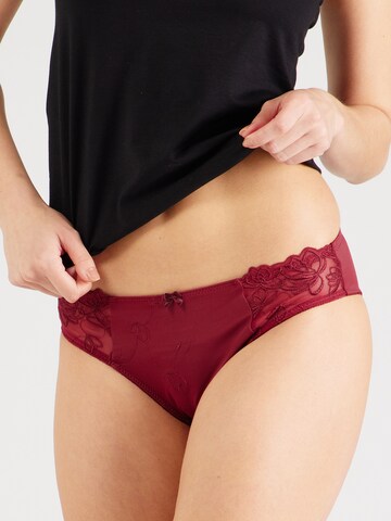 raudona Hunkemöller Moteriškos kelnaitės 'Diva Rio': priekis