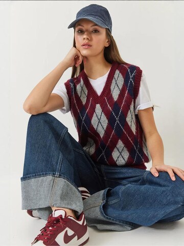 Bianco Lucci Trui in Gemengde kleuren