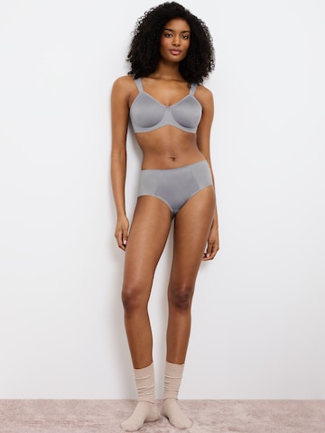TRIUMPH Slip ' Red Label Essential Minimizer ' in Grey