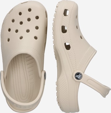 balta Crocs Klumpės 'Classic'