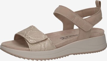 CAPRICE Sandals in Beige: front