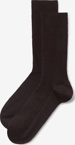 CALZEDONIA Socks in Brown: front