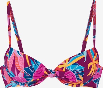 Hauts de bikini BUFFALO en violet : devant