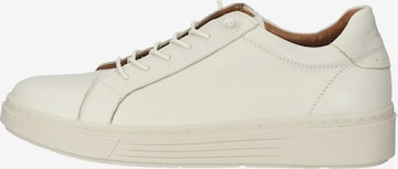 Baskets basses HUSH PUPPIES en blanc