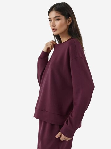 Hiccup Sweatshirt in Rot