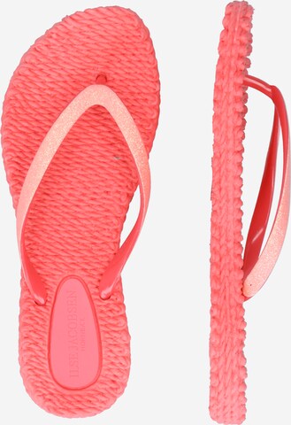 ILSE JACOBSEN Teenslipper 'Cheerful 01' in Rood