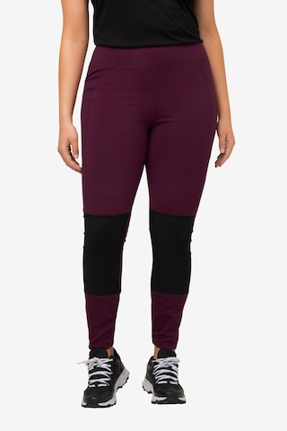 Ulla Popken Skinny Leggings in Purple: front