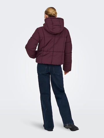 JDY Winter jacket 'JDYWONDER' in Purple