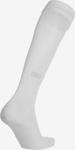 JAKO Soccer Socks 'Glasgow 2.0' in White