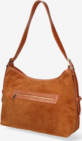 Gave Lux Shoulder bag in Brown: front