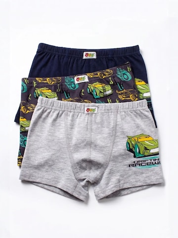 ÖTSGaće 'ÖTS Herren Boxerbriefs' - miks boja boja