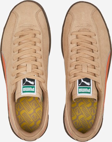 PUMA Sneaker low 'Delphin' i brun