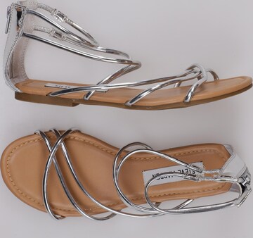 STEVE MADDEN Sandalen 36 in Grau: predná strana