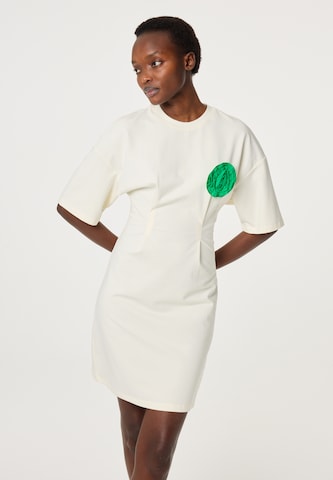 Fabienne Chapot Jurk in Beige