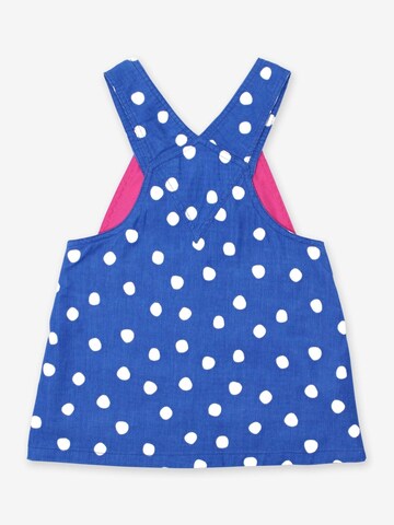 Toby Tiger Dress in Blue