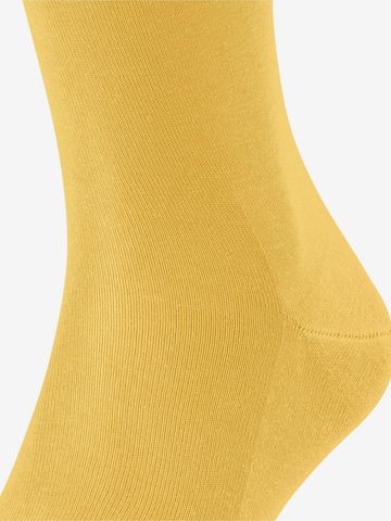 FALKE Knee High Socks 'Tiago' in Yellow: front