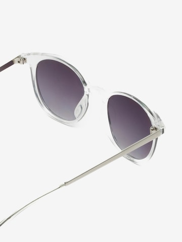 ECO Shades Sunglasses in Transparent
