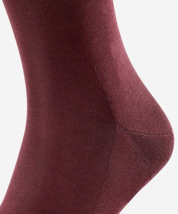 FALKE Socken in Rot