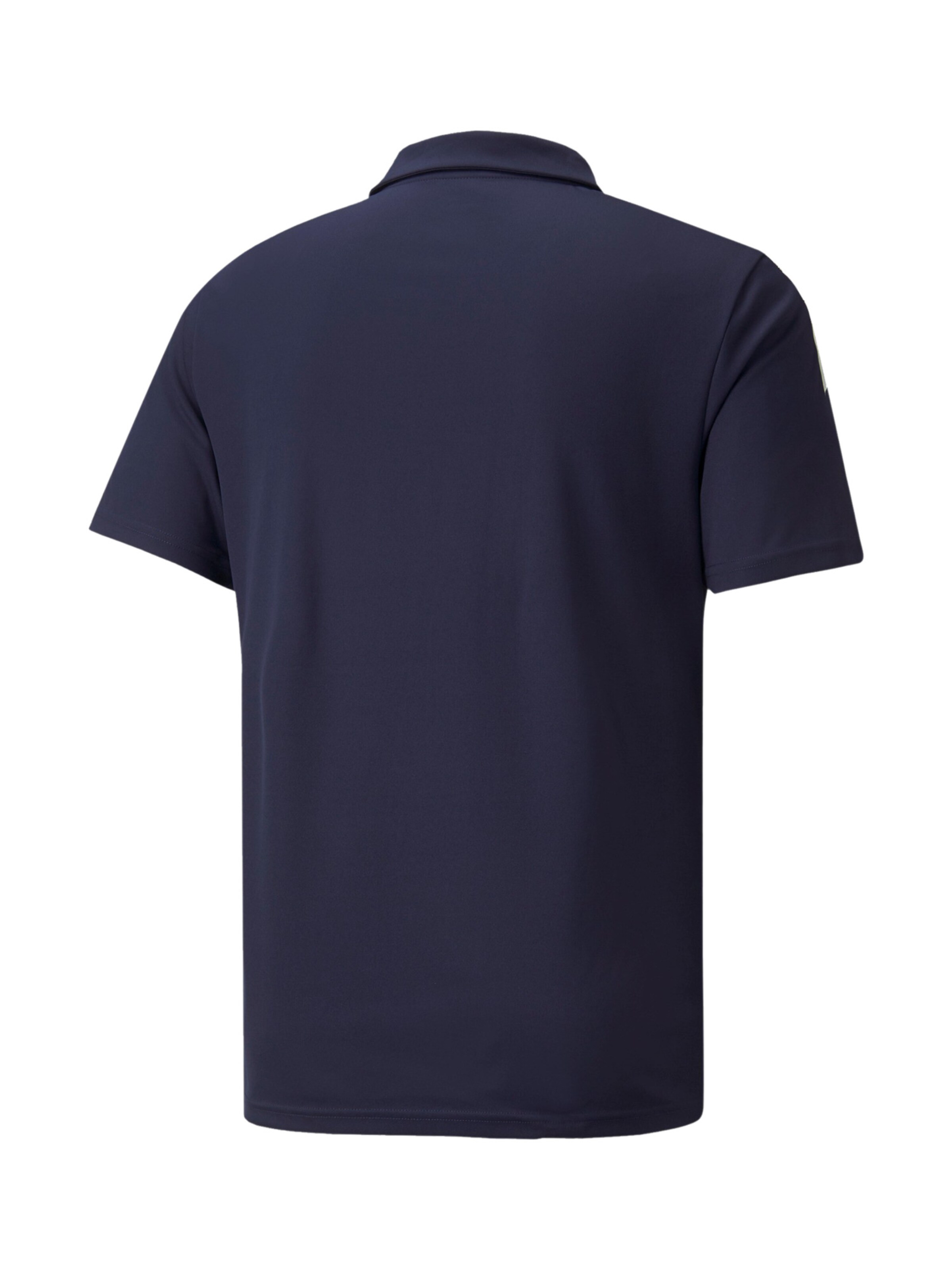 PUMA Performance Shirt 'TeamLiga' in Blue