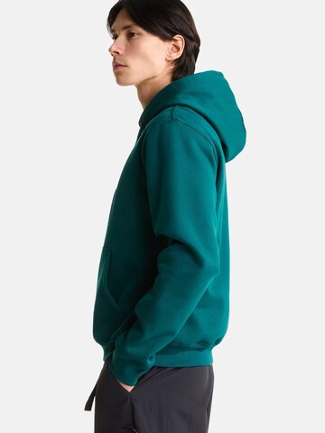 THE NORTH FACE Bluzka sportowa 'THE NORTH FACE M ESS DP REG HODDIE FELPA' w kolorze zielony