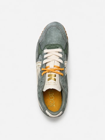 Kaotiko Sneakers laag 'Seattle' in Groen