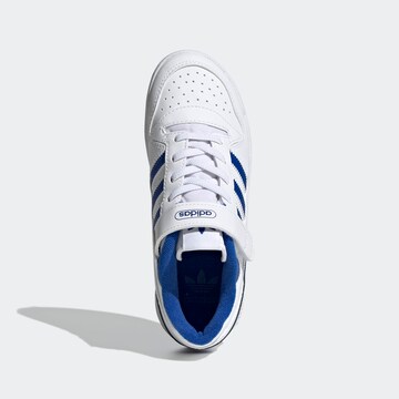 ADIDAS ORIGINALS - Sapatilhas 'Forum Low' em branco