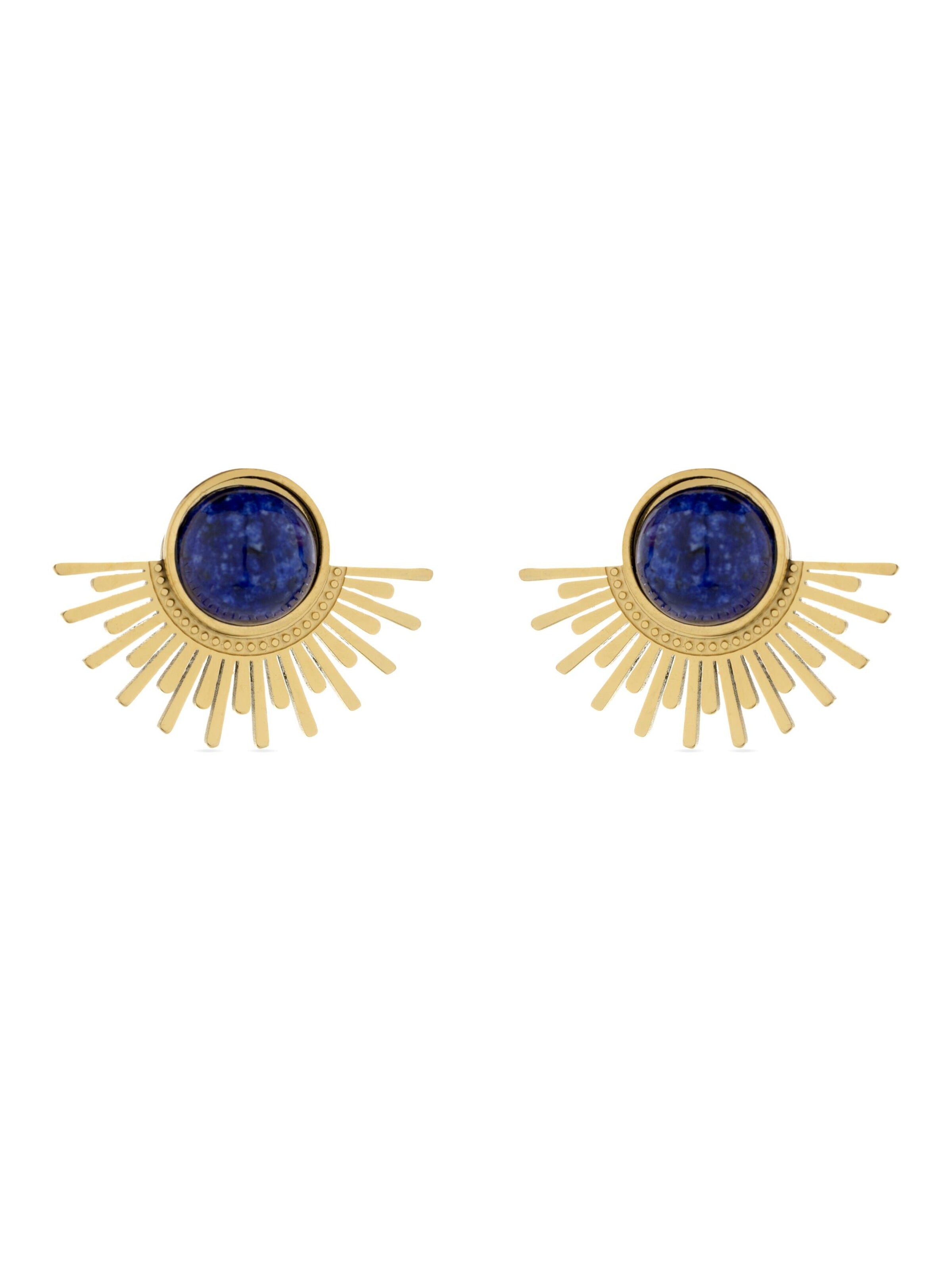 Luxenter Earrings 'Viwing' in Blue: front