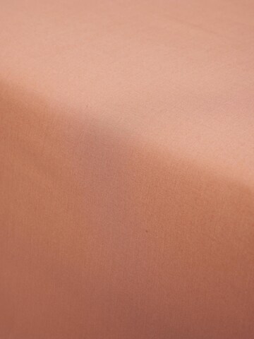 ESSENZA Bed Sheet 'Minte' in Orange