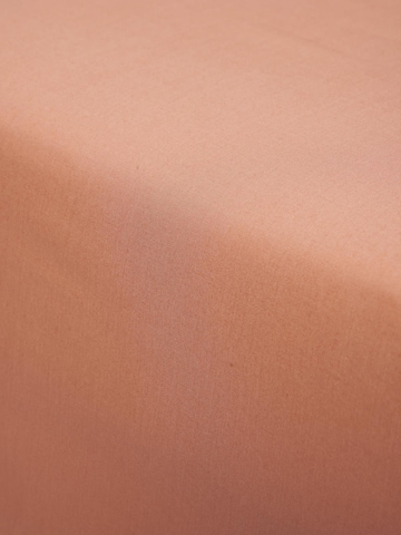 ESSENZA Bed Sheet 'Minte' in Orange