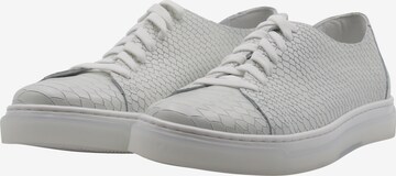 DreiMaster Maritim Sneakers in Grey